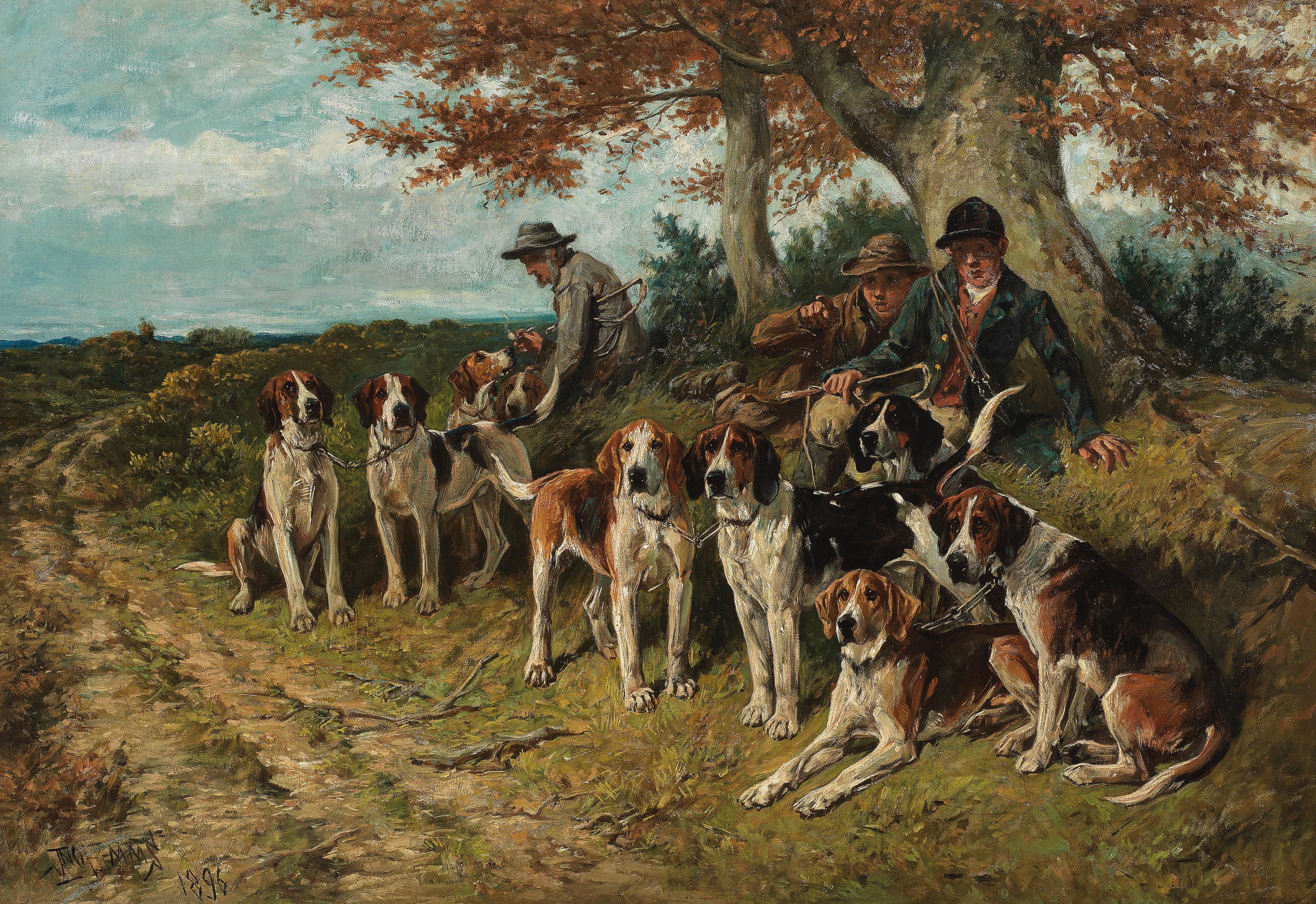 Landseer best sale dogs 101