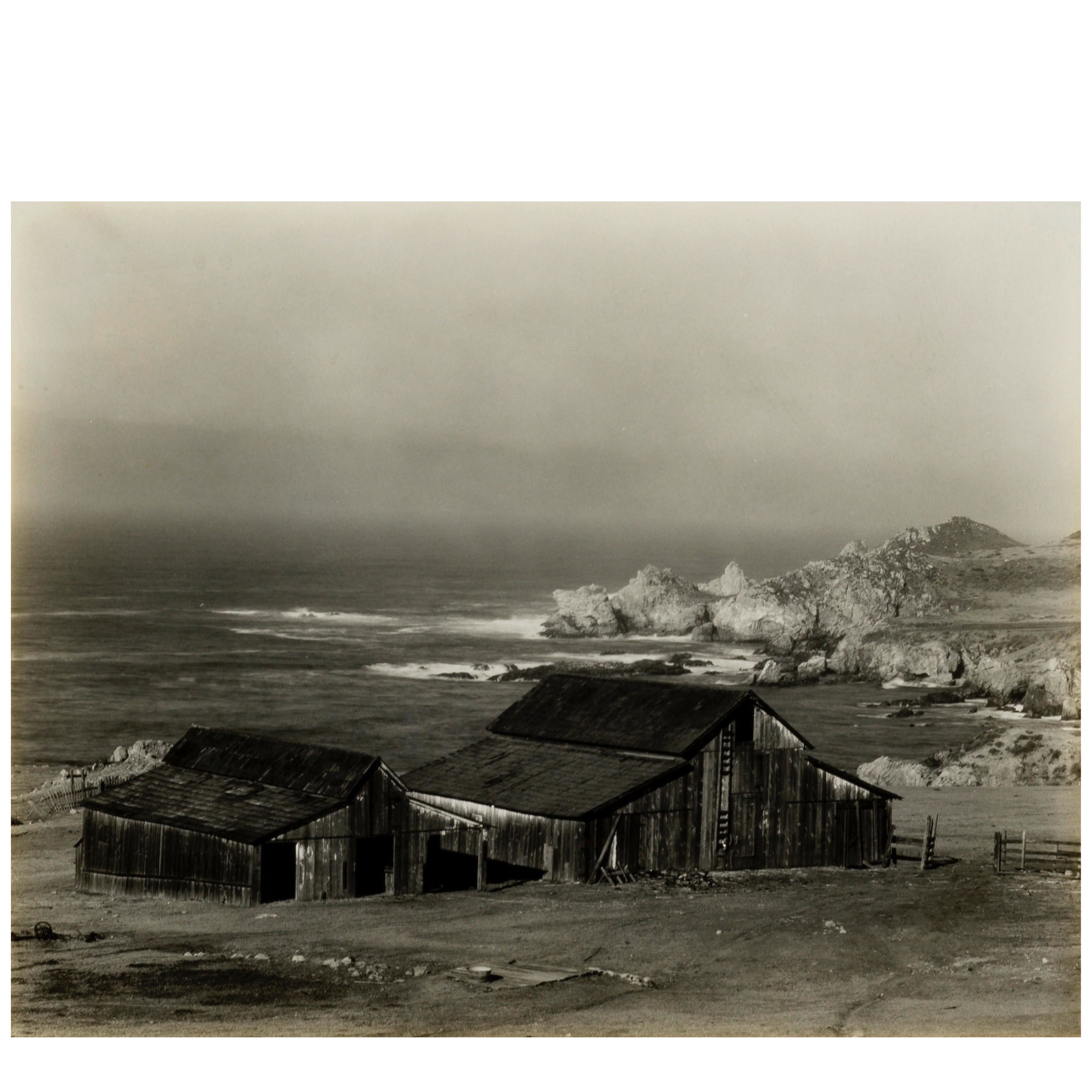 Bonhams : Collecting 101 | The Photographs of Edward Weston