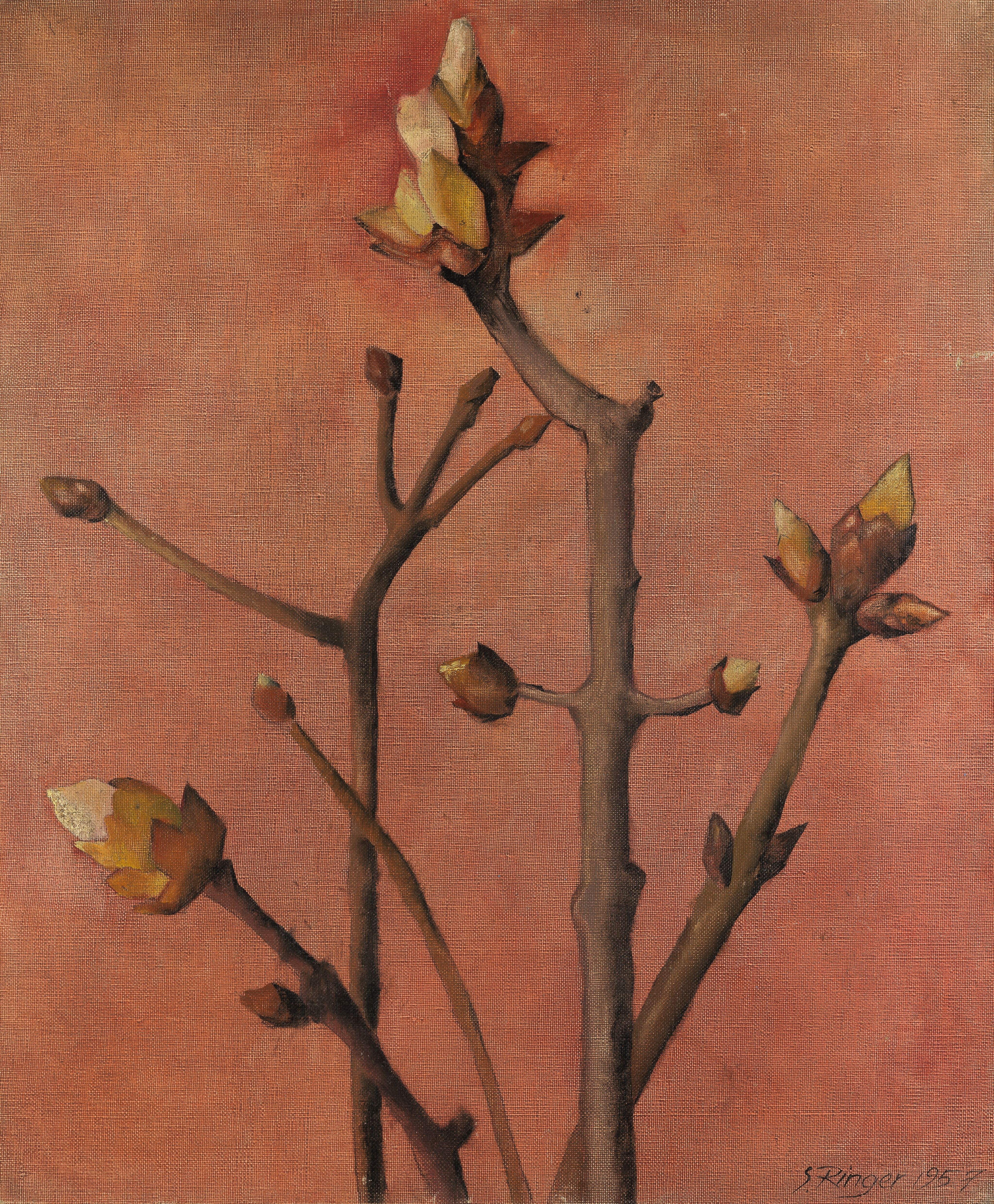 Lot 229. Sam Ringer, Bourgeons, 1957. Estimation : 1 500 - 2 000 €.