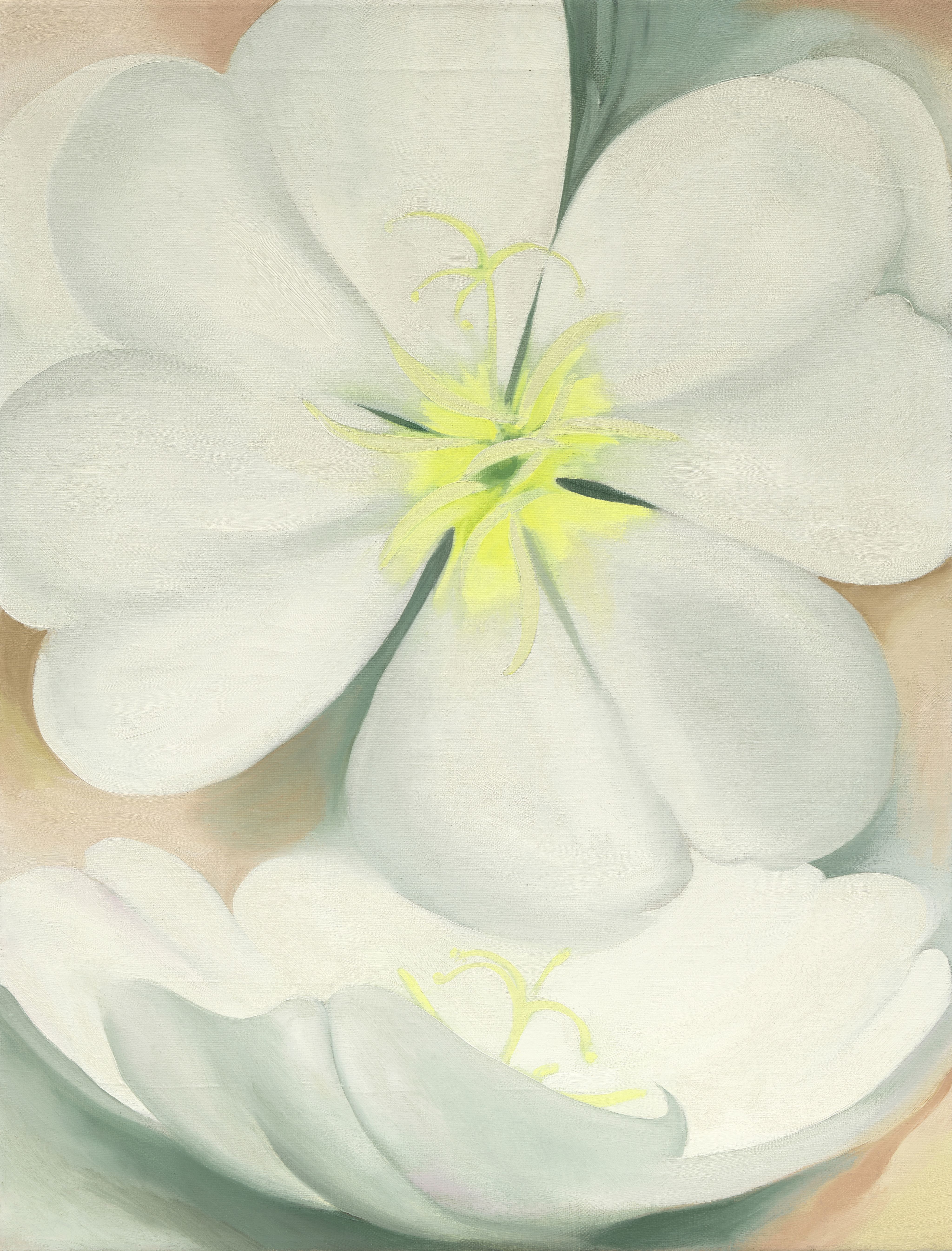 Bonhams : Bonhams Magazine | In full bloom